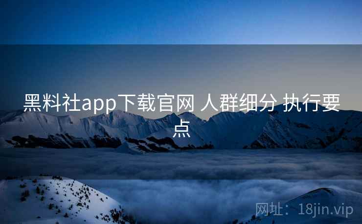 黑料社app下载官网 人群细分 执行要点