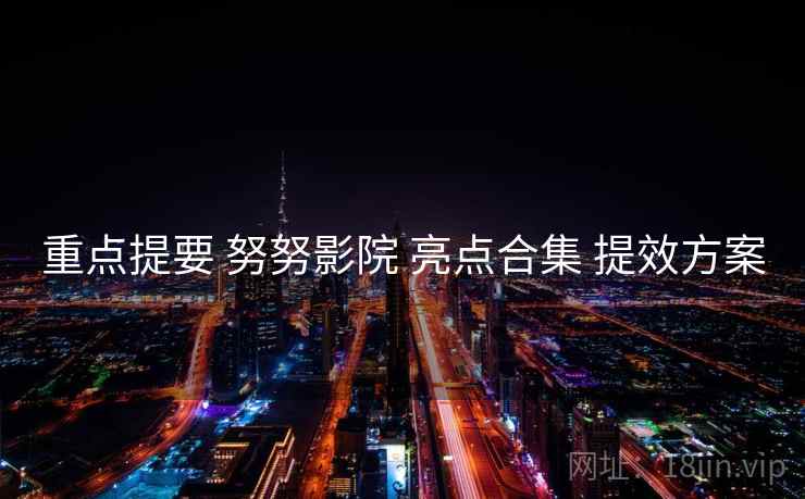 重点提要 努努影院 亮点合集 提效方案