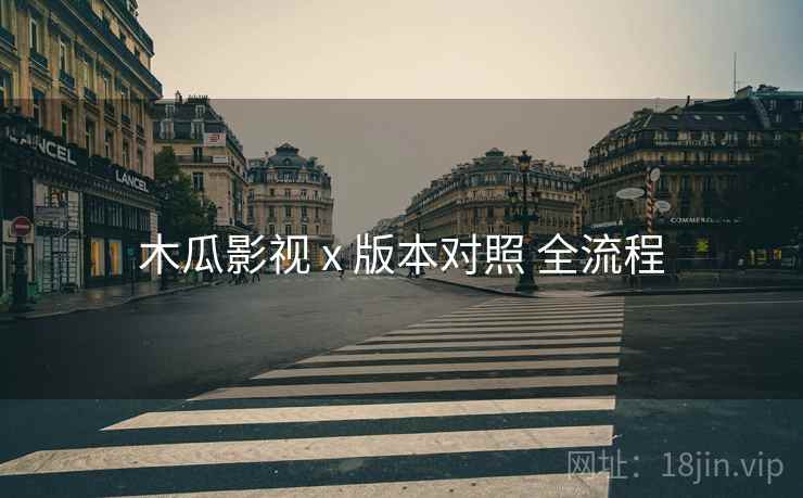 木瓜影视 x 版本对照 全流程