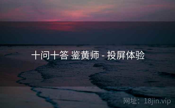 十问十答 鉴黄师 - 投屏体验