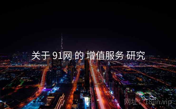关于 91网 的 增值服务 研究