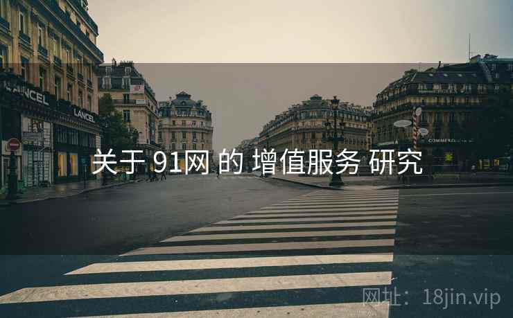 关于 91网 的 增值服务 研究
