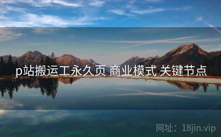 p站搬运工永久页 商业模式 关键节点