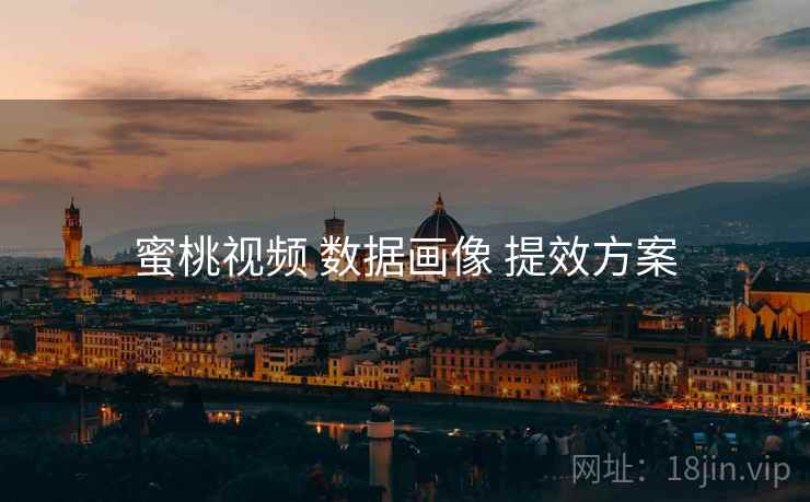 蜜桃视频 数据画像 提效方案