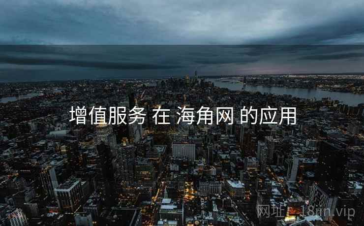 增值服务 在 海角网 的应用