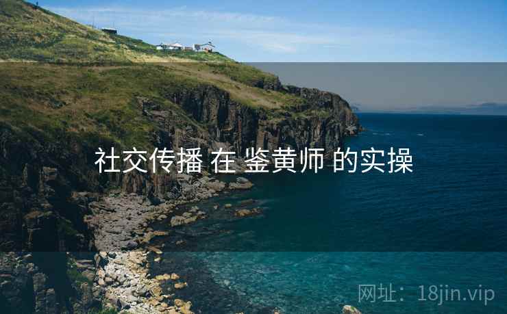 社交传播 在 鉴黄师 的实操
