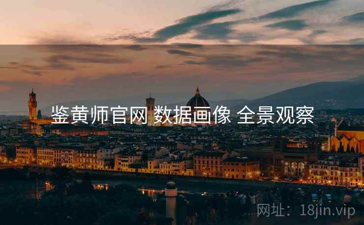 鉴黄师官网 数据画像 全景观察