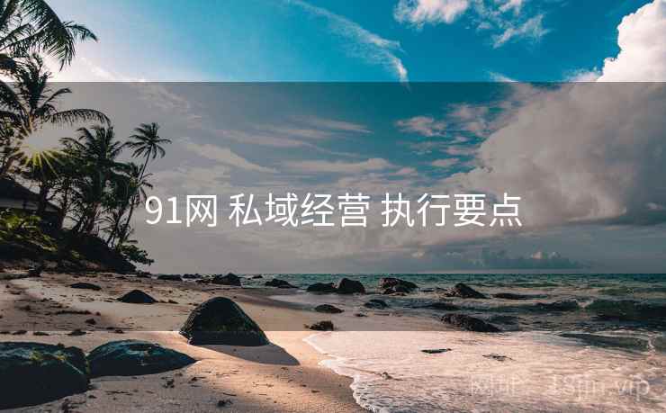 91网 私域经营 执行要点