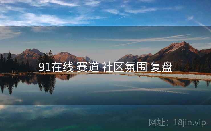 91在线 赛道 社区氛围 复盘