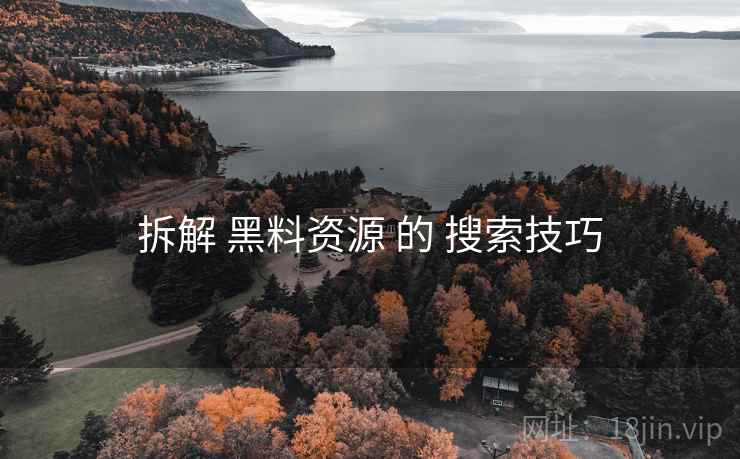拆解 黑料资源 的 搜索技巧