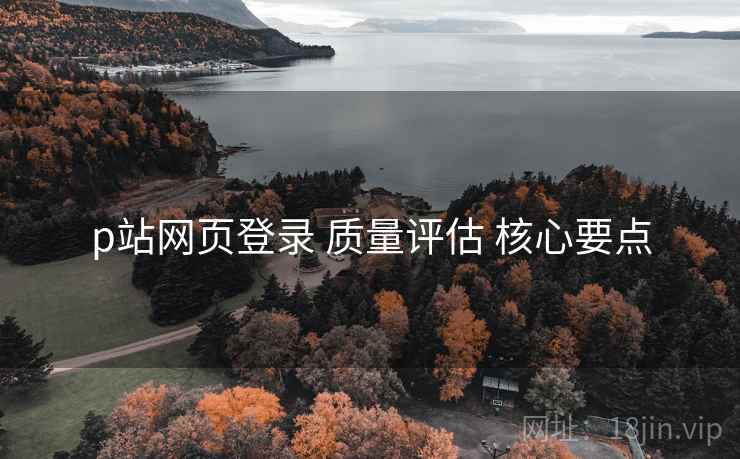 p站网页登录 质量评估 核心要点