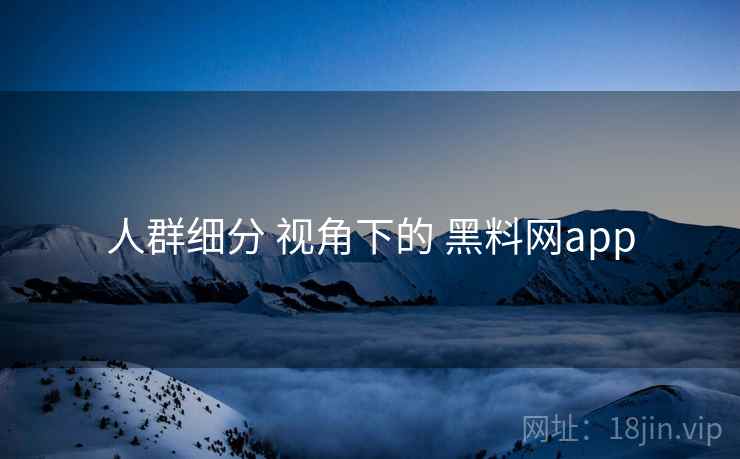 人群细分 视角下的 黑料网app