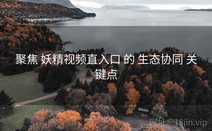 聚焦 妖精视频直入口 的 生态协同 关键点