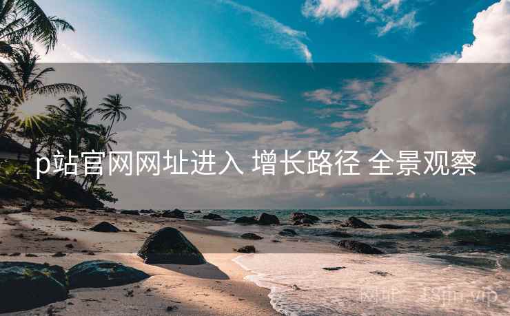 p站官网网址进入 增长路径 全景观察