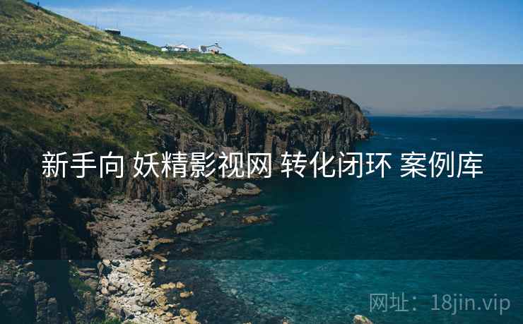 新手向 妖精影视网 转化闭环 案例库