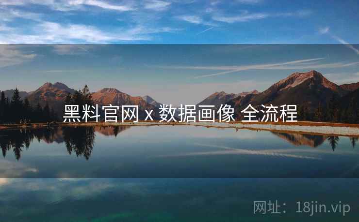 黑料官网 x 数据画像 全流程