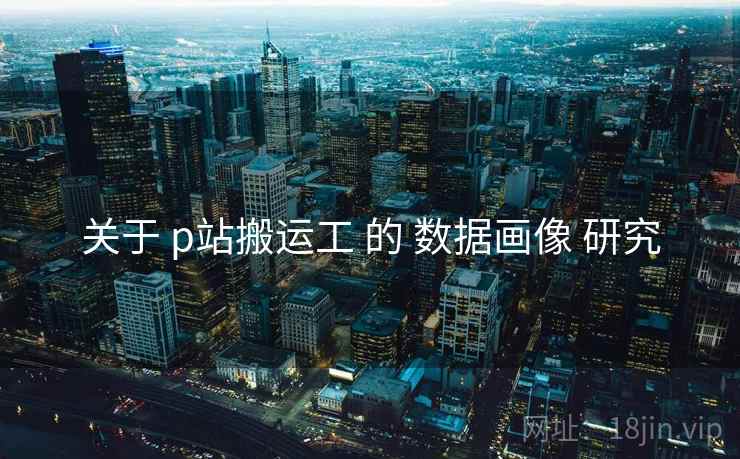 关于 p站搬运工 的 数据画像 研究