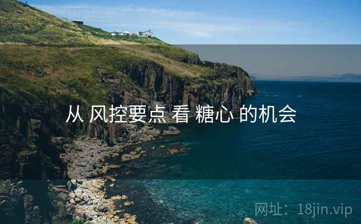 从 风控要点 看 糖心 的机会
