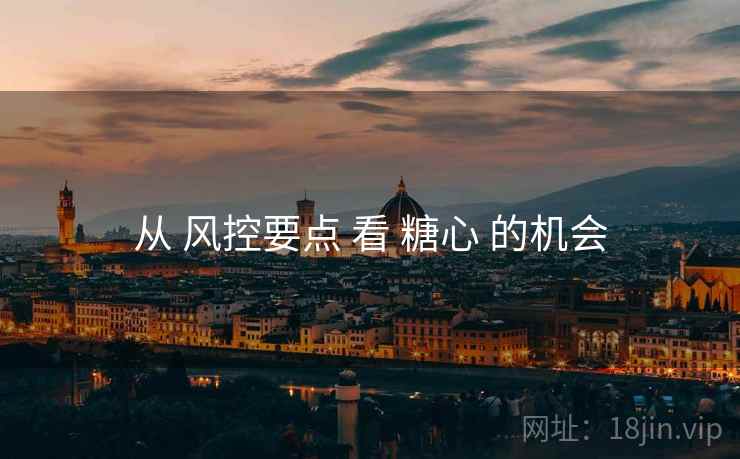 从 风控要点 看 糖心 的机会