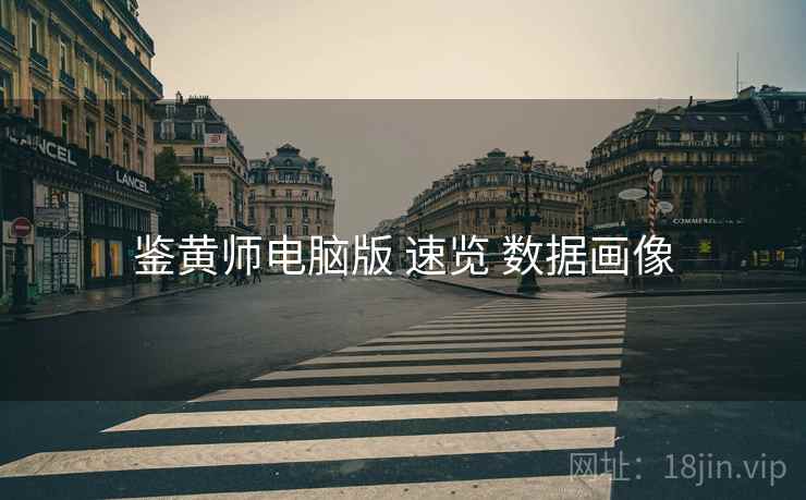 鉴黄师电脑版 速览 数据画像