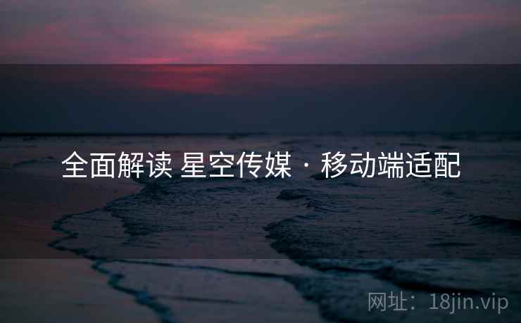 全面解读 星空传媒 · 移动端适配