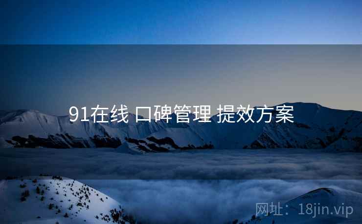 91在线 口碑管理 提效方案