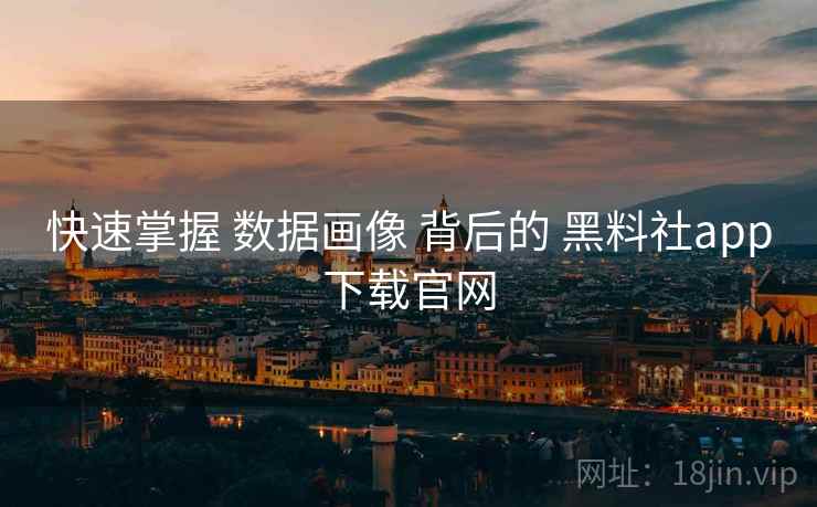 快速掌握 数据画像 背后的 黑料社app下载官网