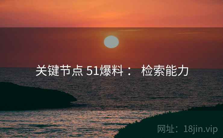 关键节点 51爆料 ： 检索能力