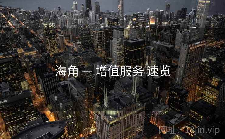 海角 — 增值服务 速览